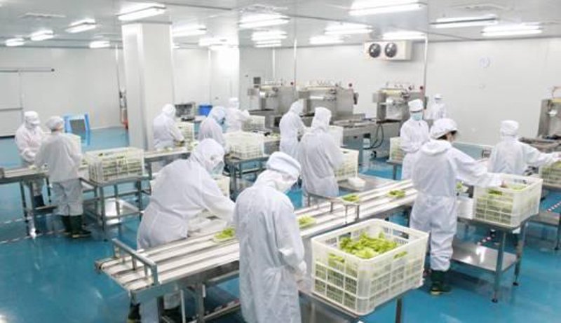 食堂承包选购指南：如何选择专业的餐饮服务商